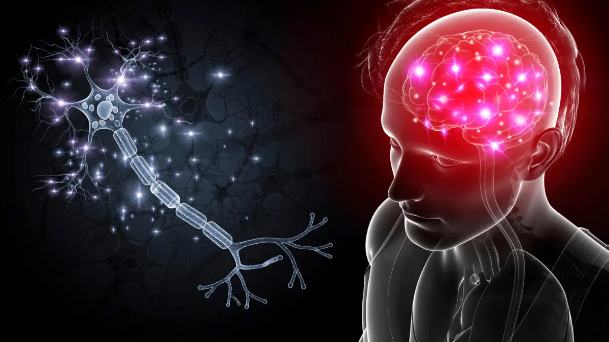 Ilustração de neurônio e cérebro humano em destaque