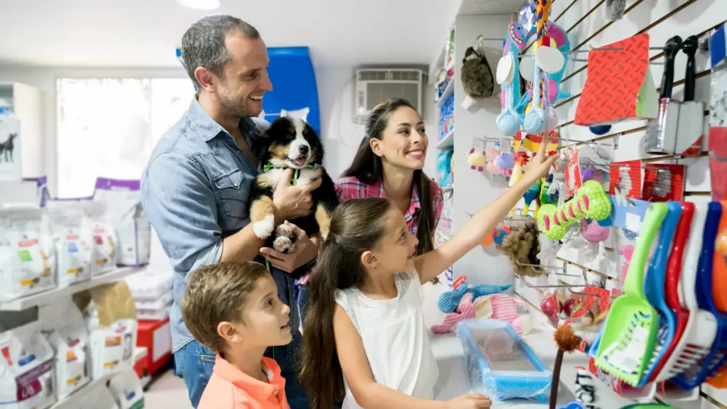 Como aumentar o faturamento de um pet shop Como aumentar o faturamento de um pet shop