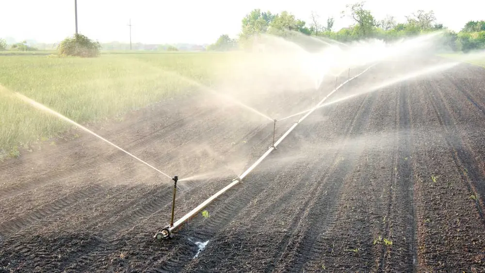 Conheça os Sistemas de Irrigação que Estão Fazendo Sucesso no Agro