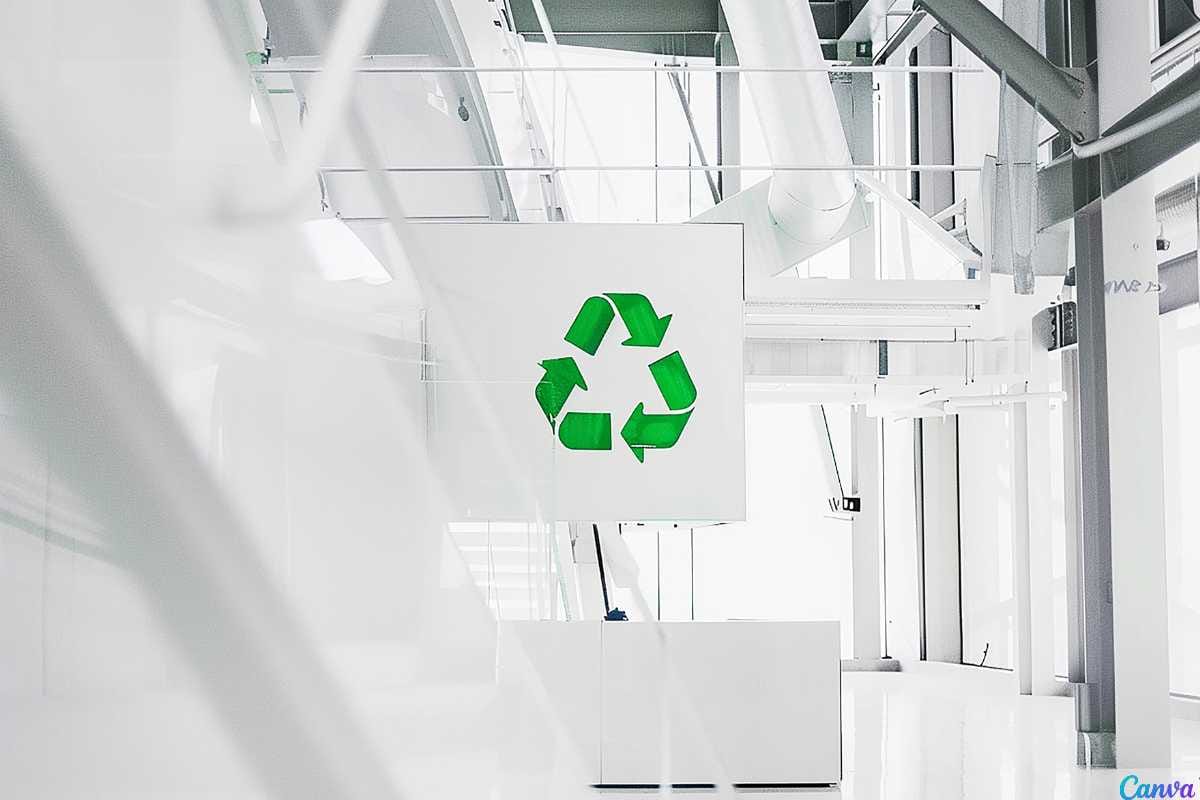 Como as empresas precisam se adaptar à demanda por sustentabilidade