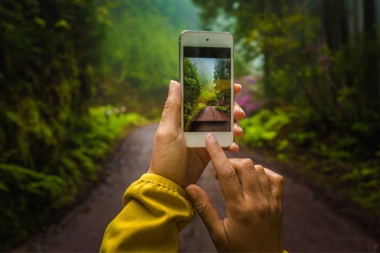 Algumas dicas para capturar ótimas fotos