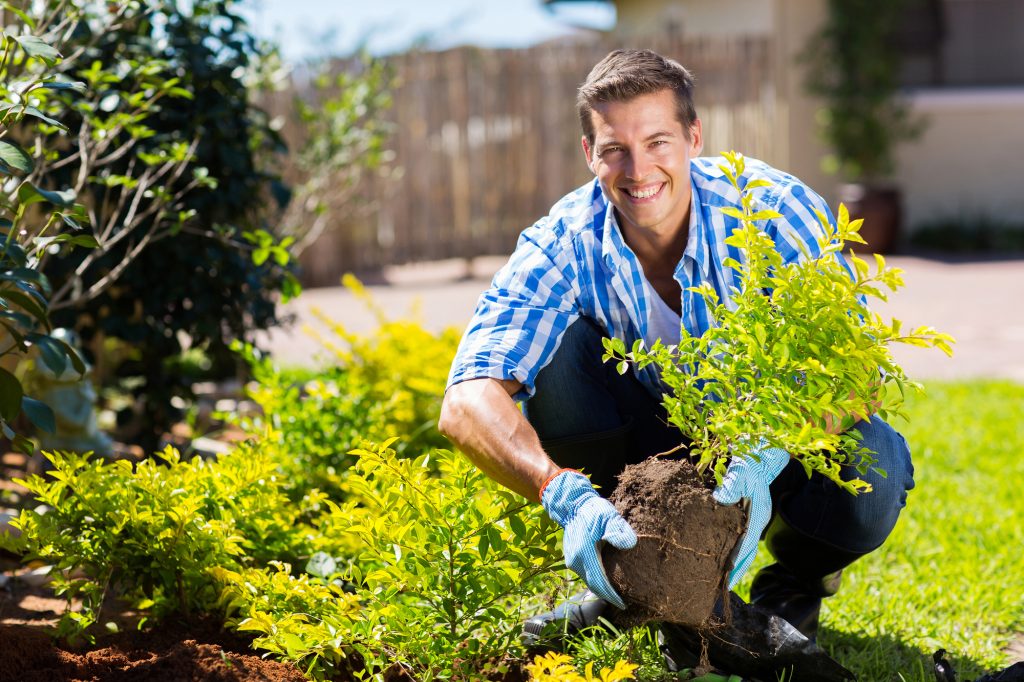 A ciência explica por que a jardinagem deixa os executivos felizes