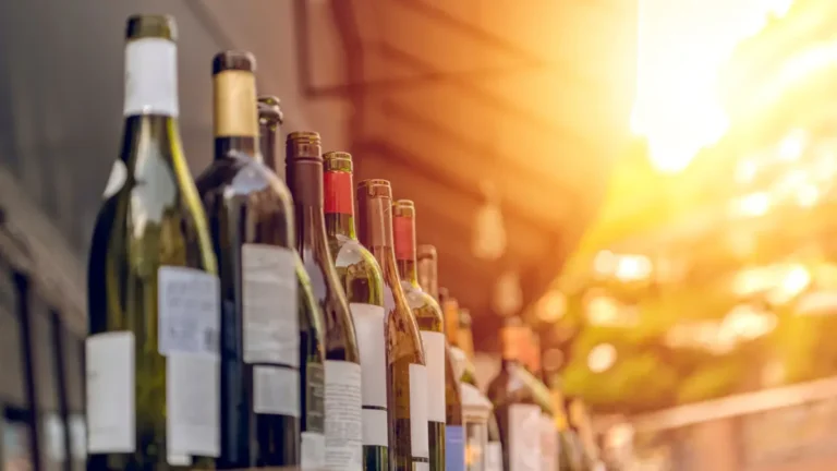 Como trazer vinhos de Mendoza? Entenda!