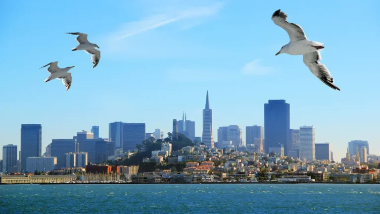 Como é o Verão em San Francisco: Tudo Que Você Precisa Saber