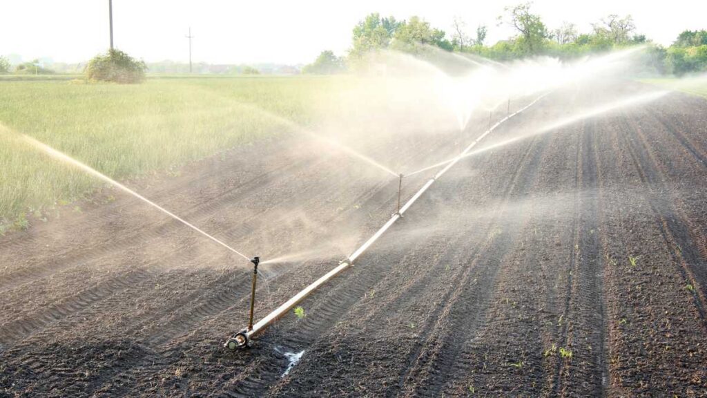 Conheça os Sistemas de Irrigação que Estão Fazendo Sucesso no Agro