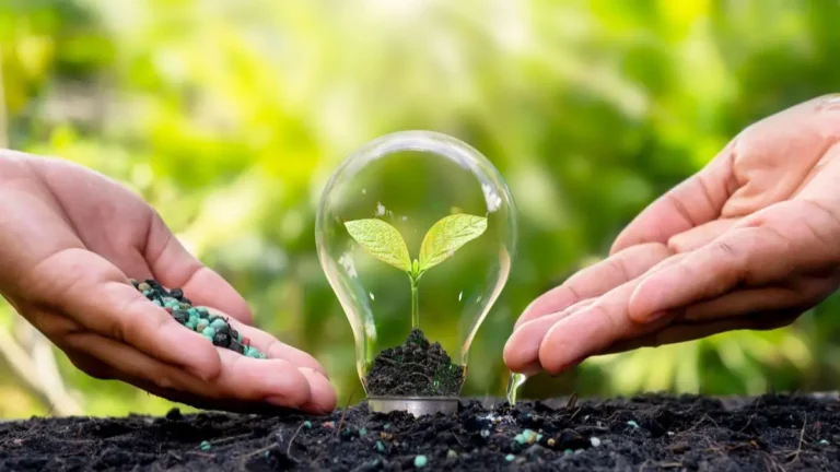 Educação ambiental: conscientização como ferramenta no controle de pragas