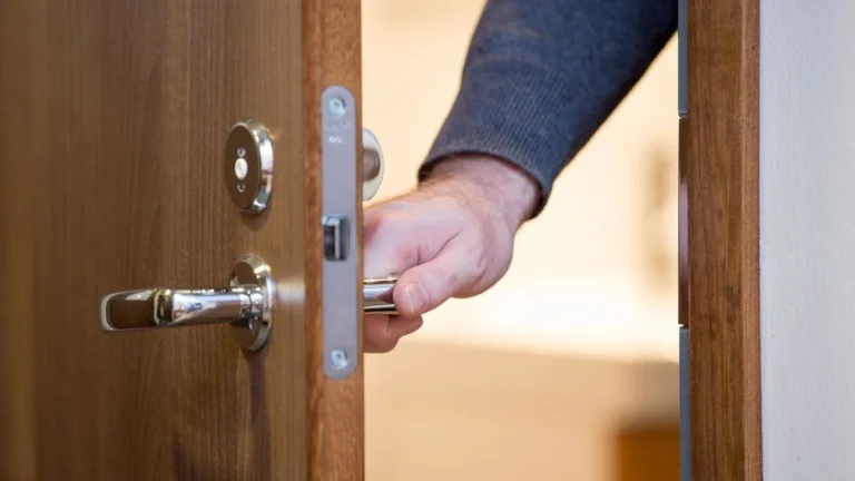 Ninho de barata dentro da porta: como prevenir e eliminar