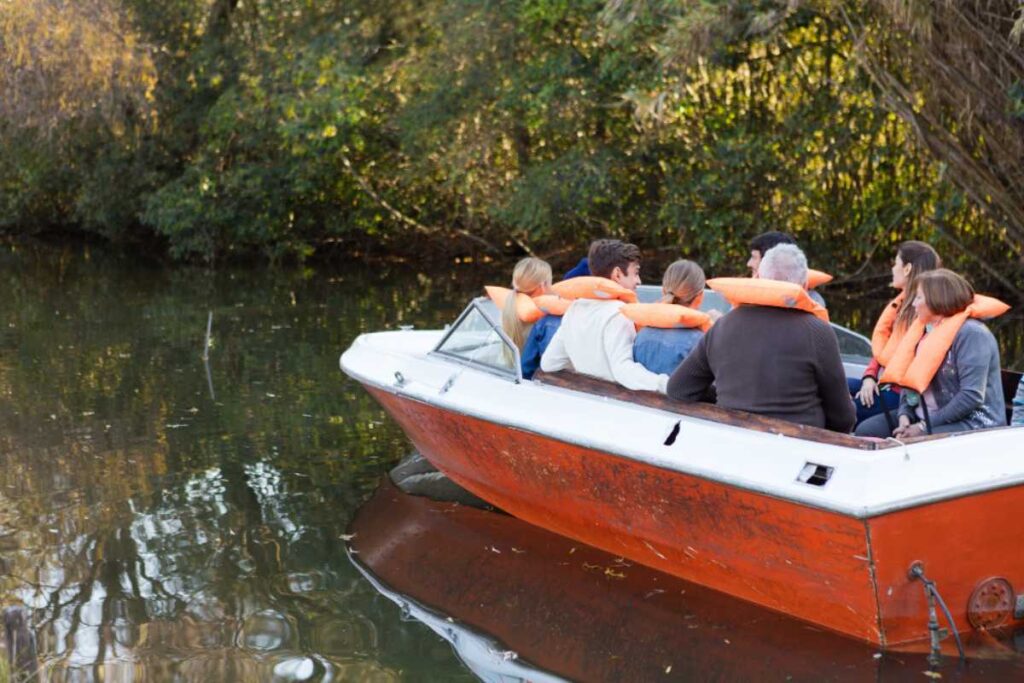 Passeios de barco no Rio Miranda: a beleza do Pantanal